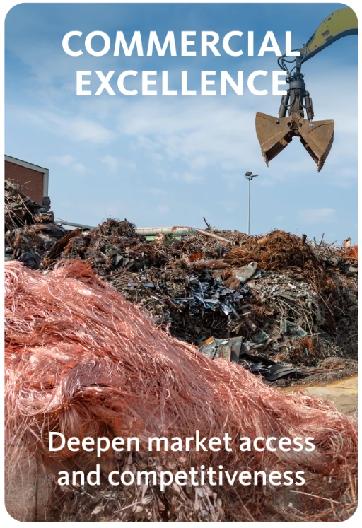 COMMERCIAL EXCELLENCE_EN