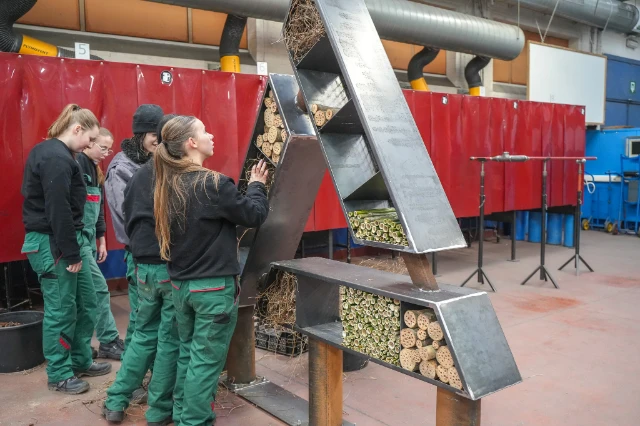 Insectenhotel Aurubis (4)